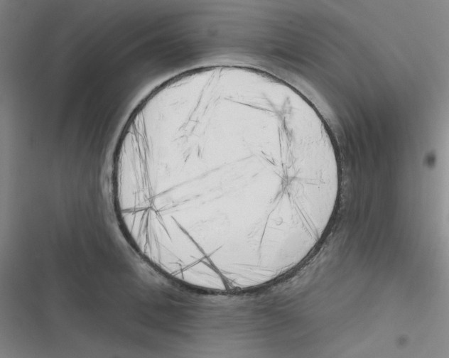 X0000116830996201001081434