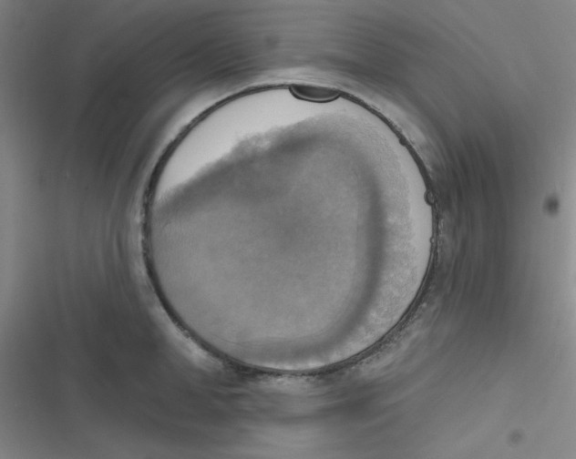 X0000116830998201001081434