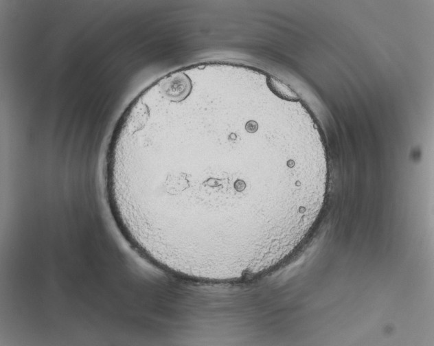 X0000116830999201001081434