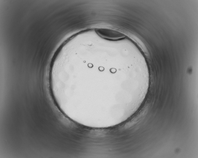 X0000116831000201001081434