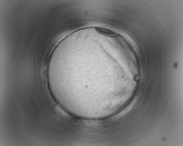 X0000116831001201001081434