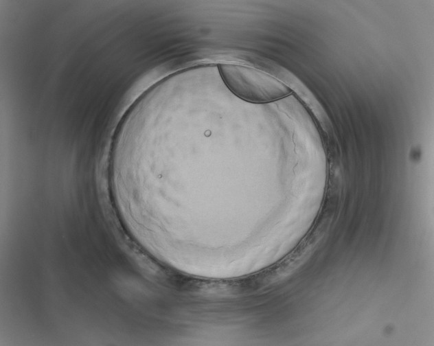 X0000116831002201001081434