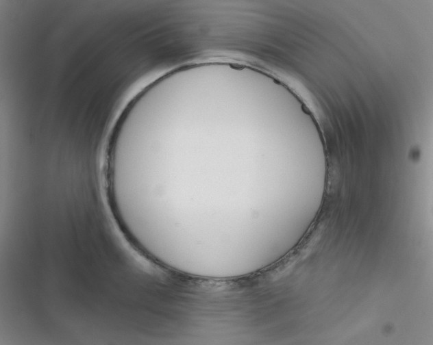 X0000116831003201001081434