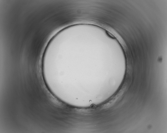 X0000116831004201001081434