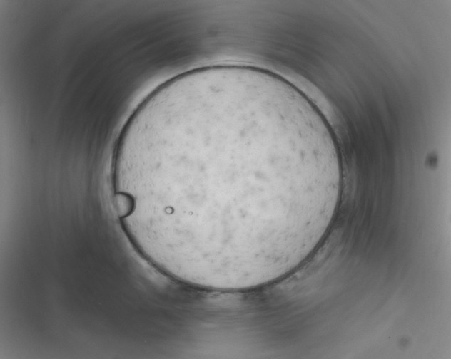 X0000116831006201001081434