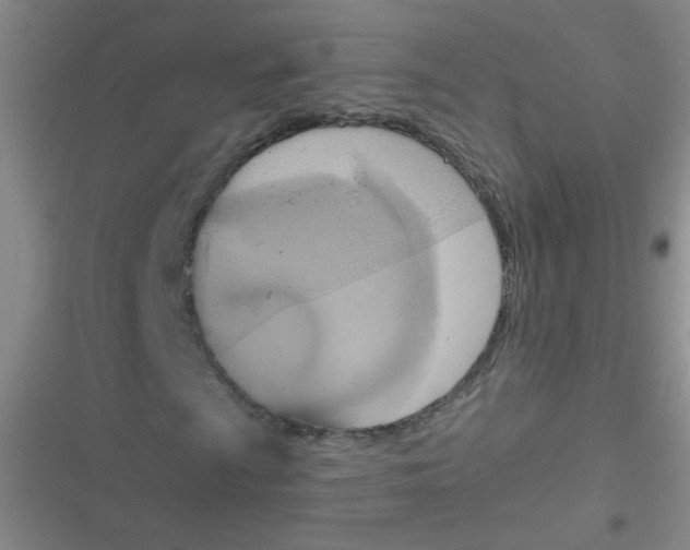 X0000116831009201001081433