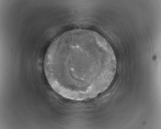 X0000116831010201001081433