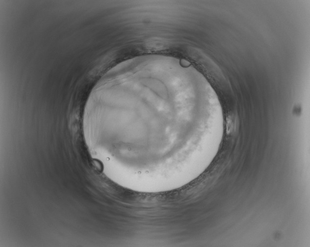 X0000116831011201001081433