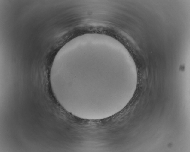 X0000116831013201001081433