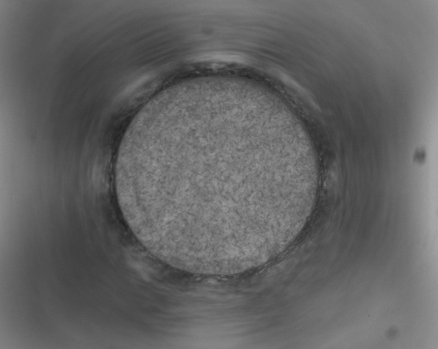 X0000116831014201001081433