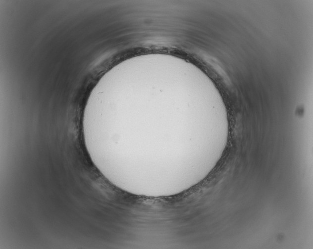 X0000116831015201001081433