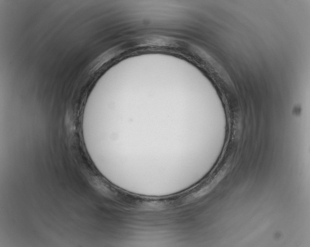 X0000116831017201001081433