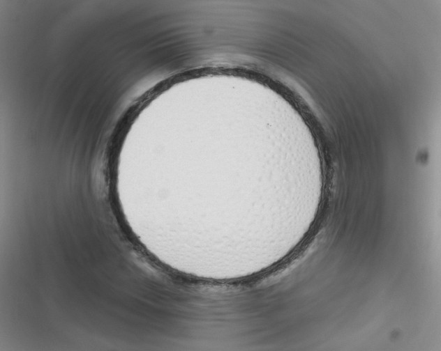 X0000116831018201001081433