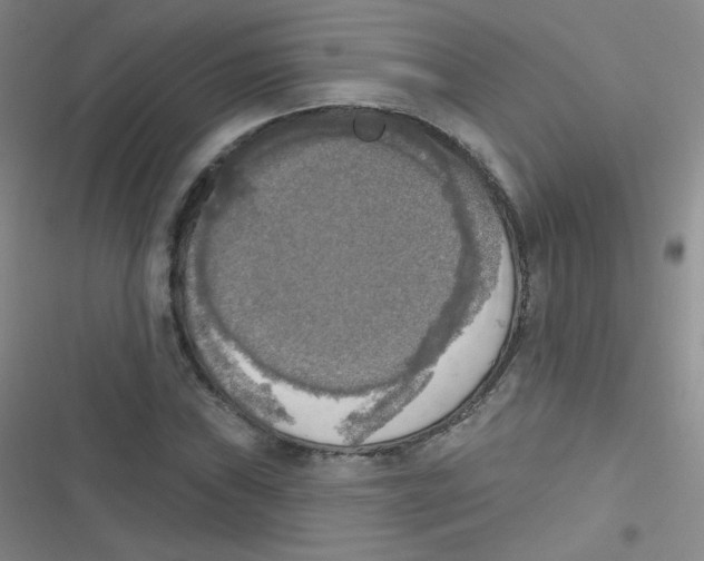 X0000116831019201001081433