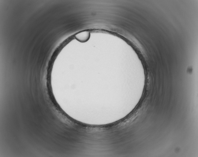 X0000116831020201001081433