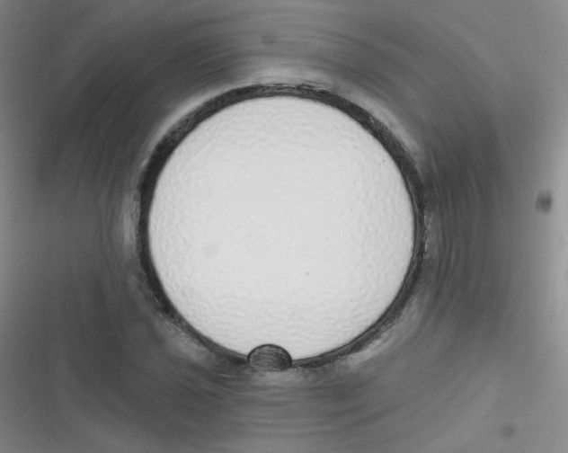 X0000116831021201001081433