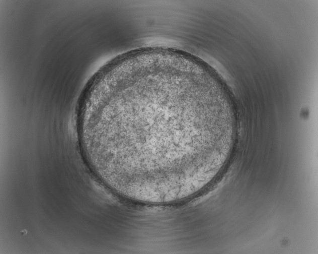 X0000116831022201001081433