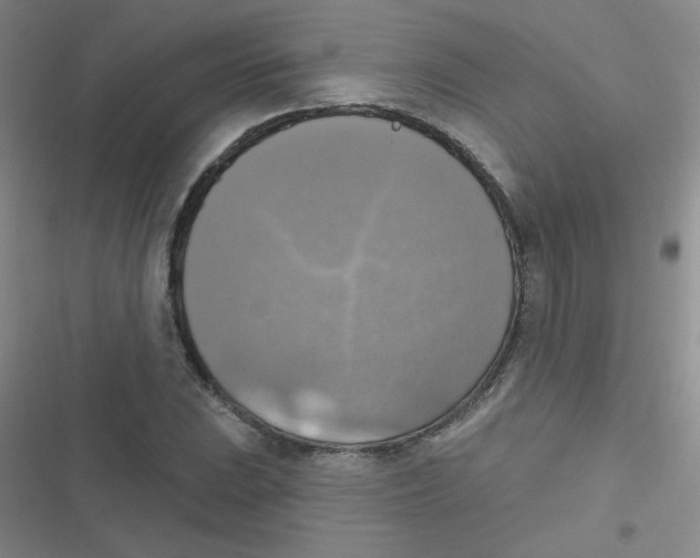 X0000116831023201001081433