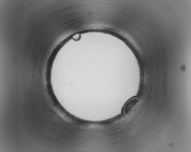 X0000116831026201001081433