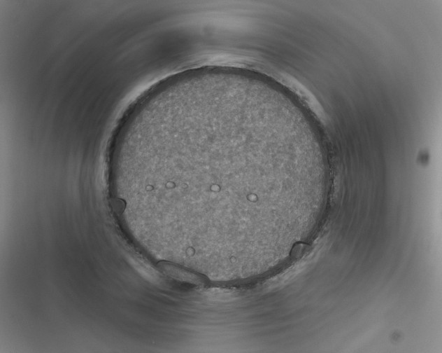 X0000116831027201001081433