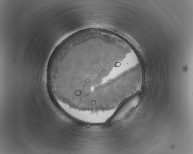 X0000116831028201001081433