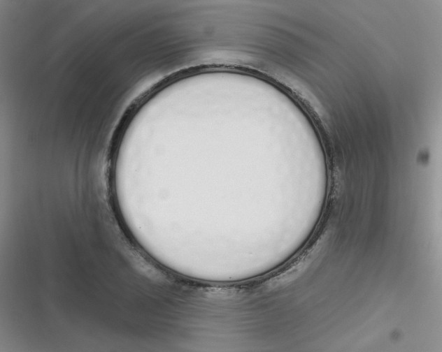 X0000116831029201001081433