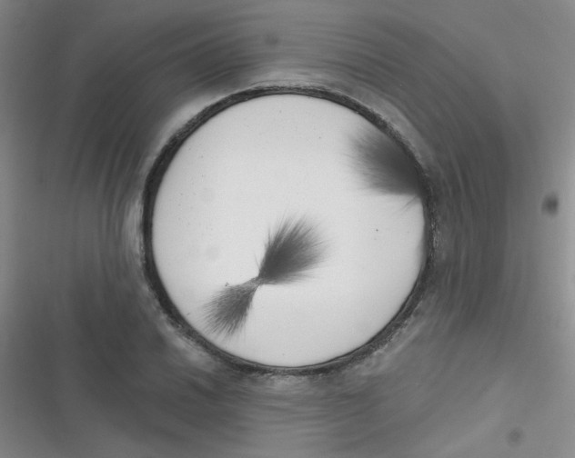 X0000116831030201001081433