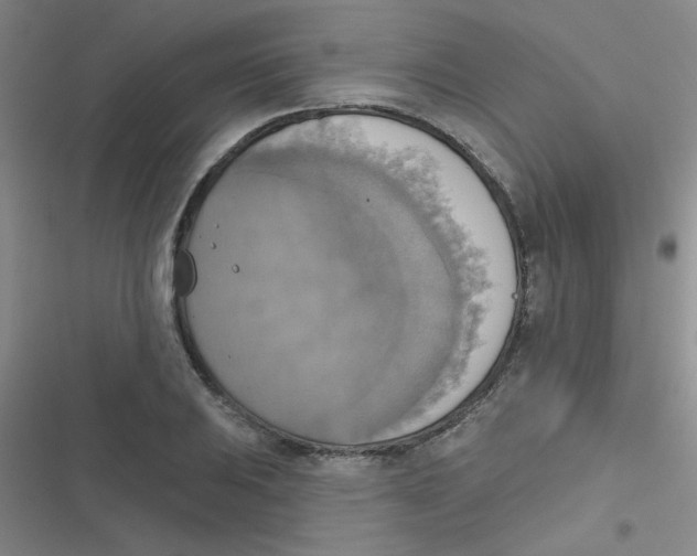 X0000116831031201001081433