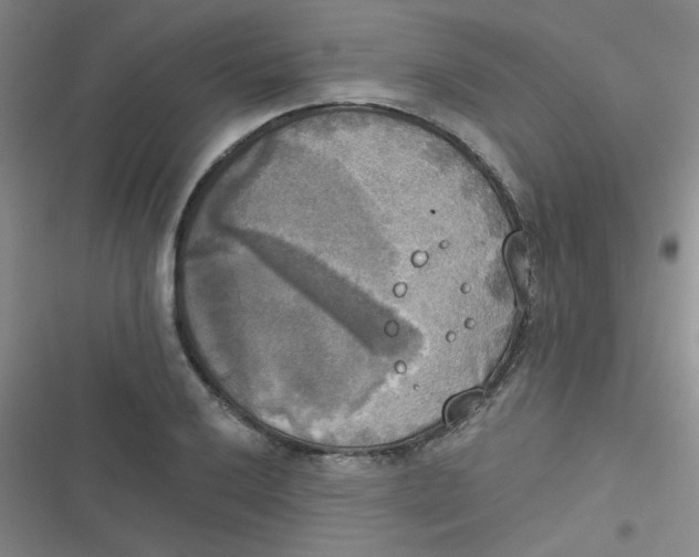 X0000116831032201001081433