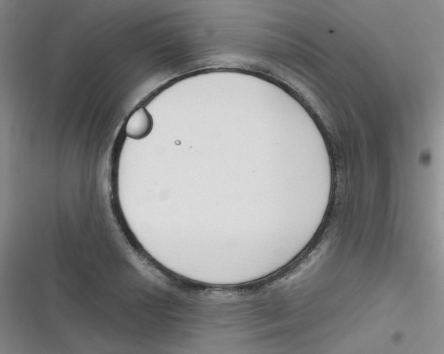 X0000116831034201001081433