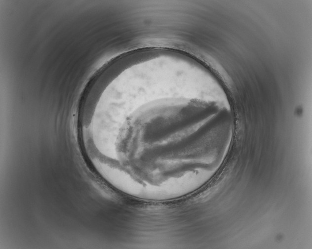 X0000116831035201001081433