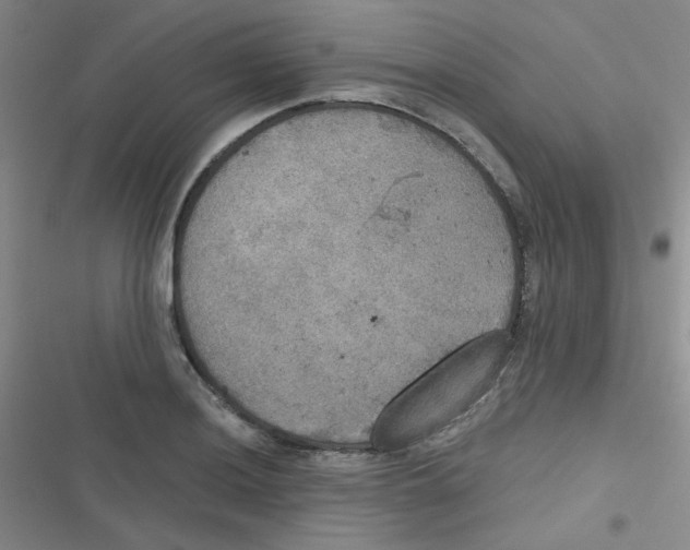 X0000116831036201001081433