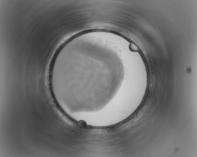 X0000116831037201001081433