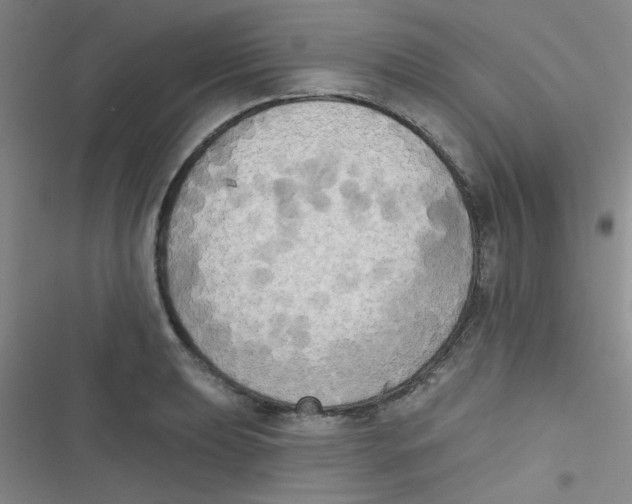 X0000116831039201001081433