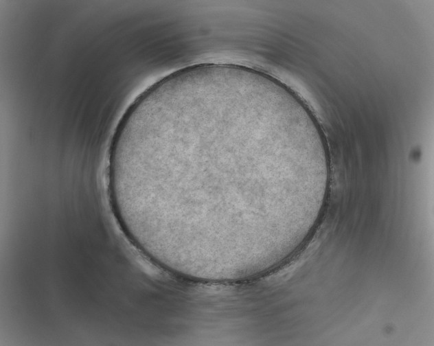 X0000116831040201001081433