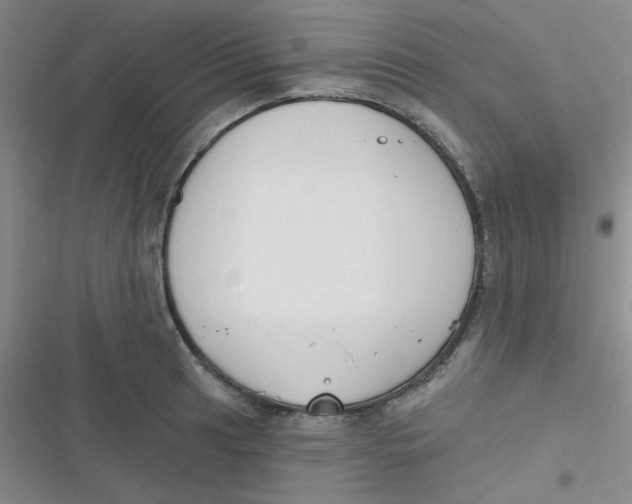 X0000116831041201001081433