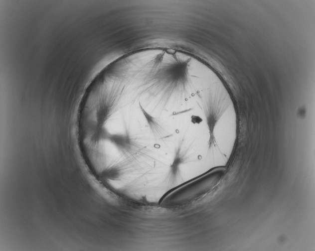 X0000116831042201001081433