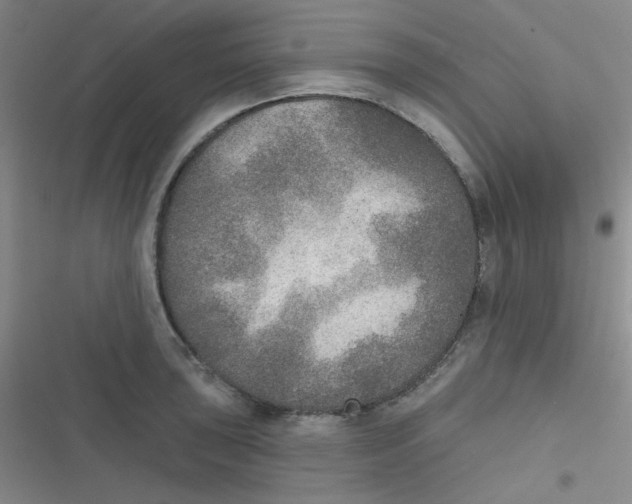 X0000116831043201001081433