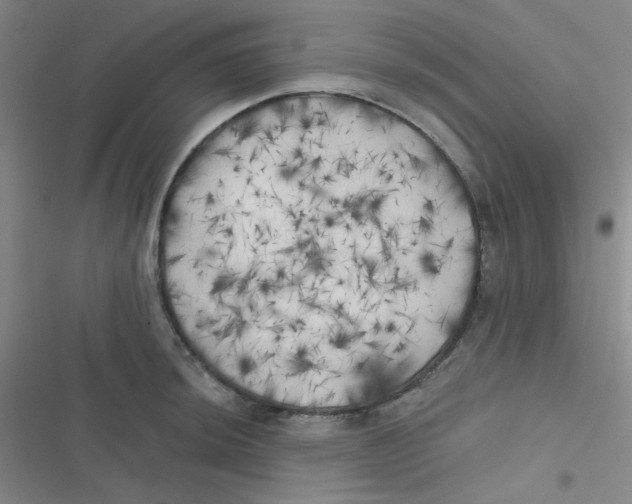 X0000116831044201001081433