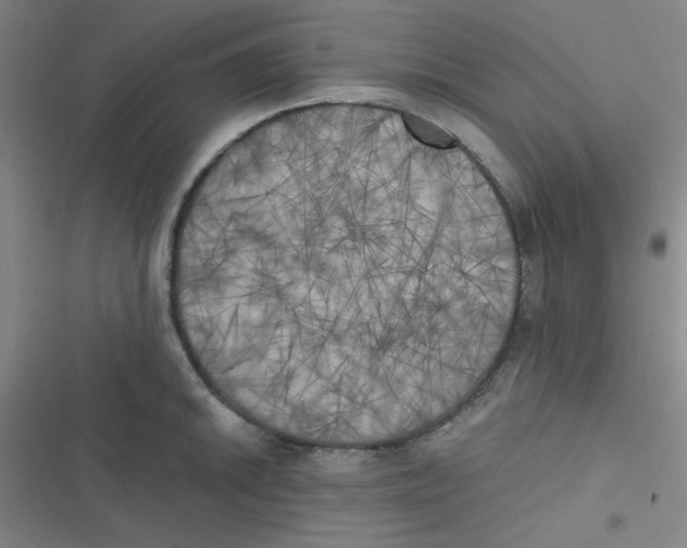 X0000116831046201001081433