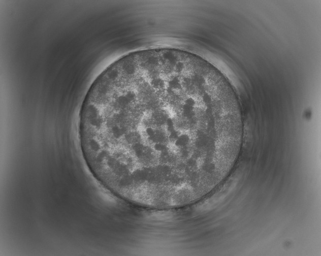 X0000116831047201001081433