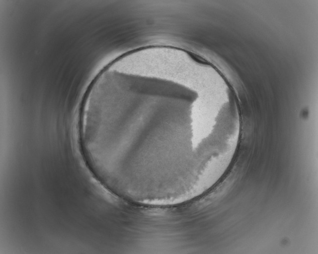 X0000116831048201001081433