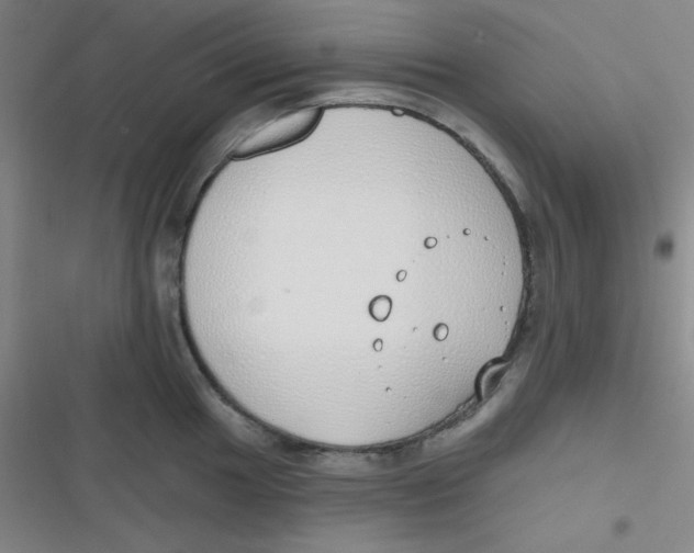 X0000116831049201001081433