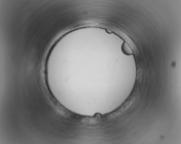 X0000116831051201001081434