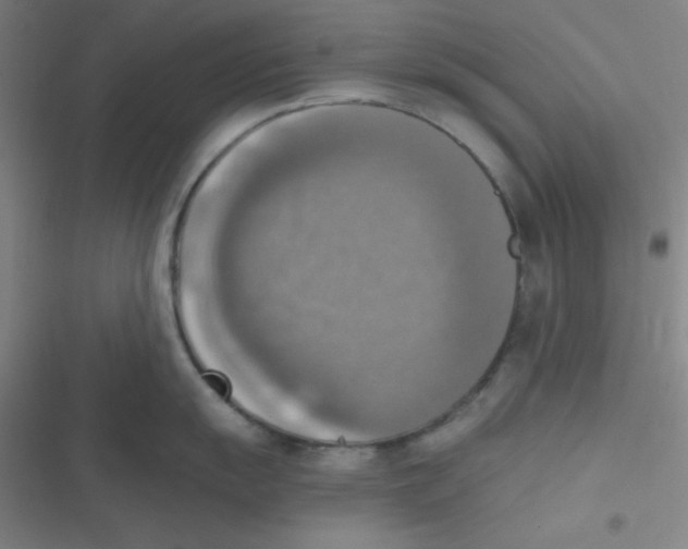 X0000116831055201001081434