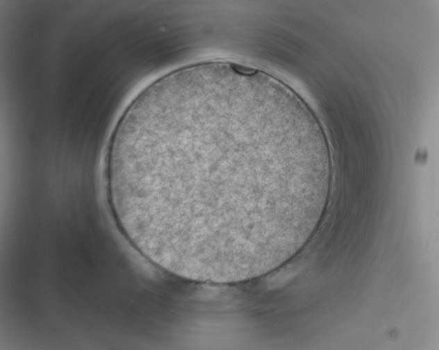 X0000116831056201001081434