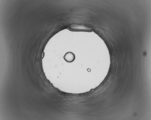 X0000116831057201001081433