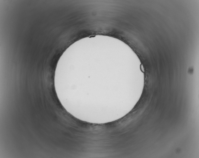 X0000116831058201001081433