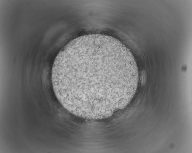 X0000116831059201001081433