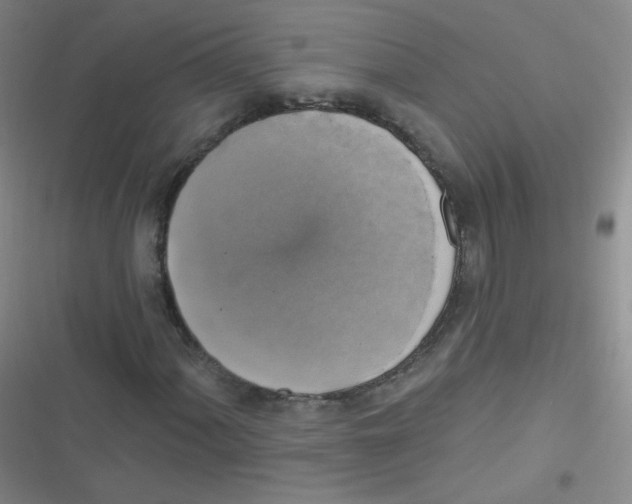 X0000116831060201001081433